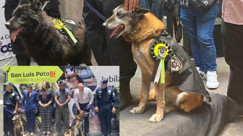 Jubilan a 4 perritos policias de San Luis Potosí