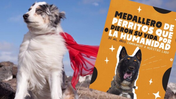 Héroes de cuatro patas con un lugar en la historia