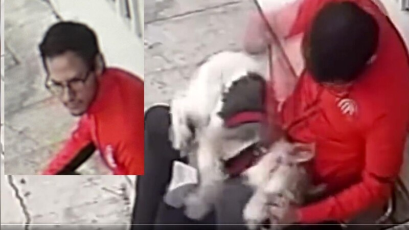Exhiben a psicópata propinando golpiza a perrito en CDMX