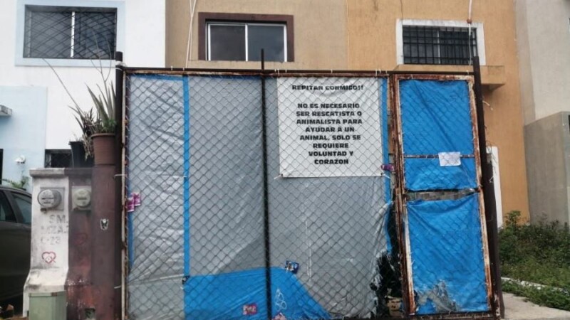 Rescatan 5 perros y un gallo en malas condiciones en el fraccionamiento Alejandría