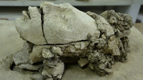 Tren Maya nutrirá saber arqueológico en los próximos 30 años