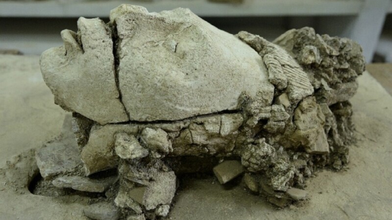 Tren Maya nutrirá saber arqueológico en los próximos 30 años