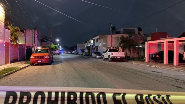 Descubren presunto vivero de marihuana en la Supermanzana 50 de Cancún