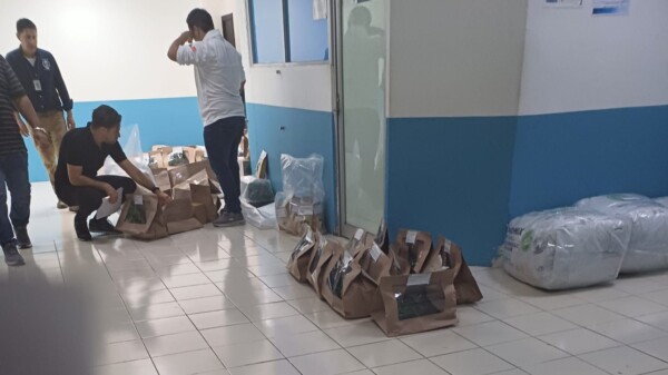 La FGR se hará cargo del narcovivero hallado en una casa de la Supermanzana 50 de Cancún