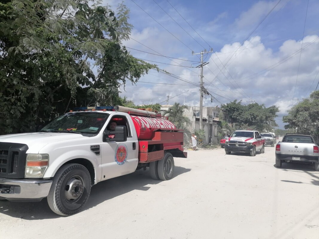 Hallan dos cuerpos en narcocenote de la colonia Copa Buena en Cancún; integrantes de colectivo y autoridades ubicaron el lugar en la Sm 242.