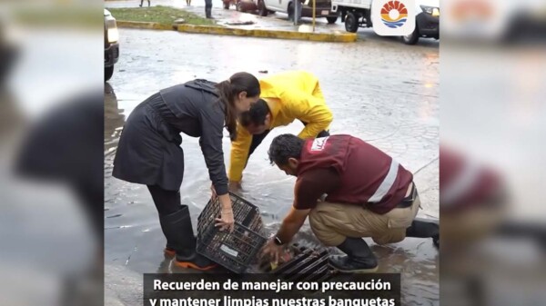 Activa Ana Paty Peralta "Operativo Tormenta" preventivo por lluvias