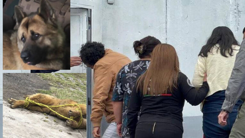 Detienen a pareja que mató a golpes al perrito Kuko en Edomex