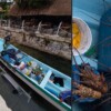 En Playa del Carmen asegura la Marina langostas y artes de pesca prohibidas.