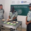 Detienen a cubano con 30 mil euros en el aeropuerto de Cancún