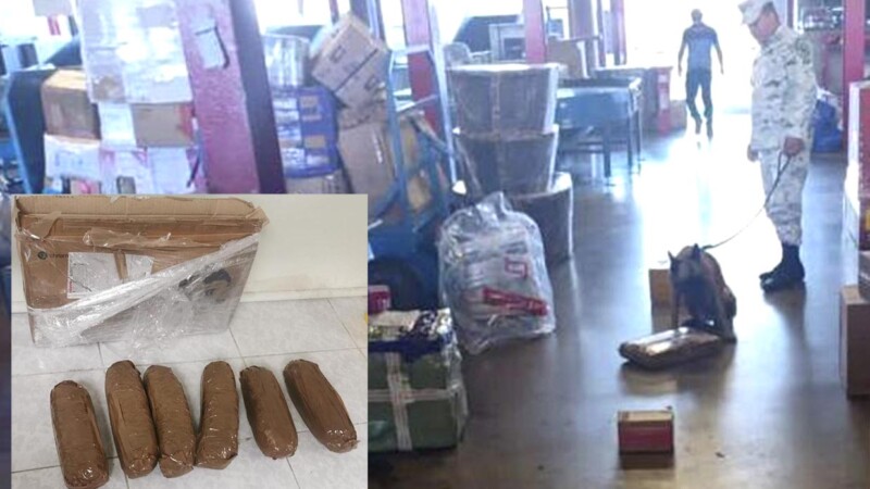 Decomisa GN paquetes de droga en aeropuerto de SLP