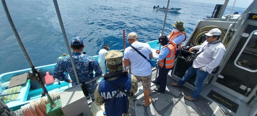 En Playa del Carmen asegura la Marina langostas y artes de pesca prohibidas; fue asegurada una embarcación menor.