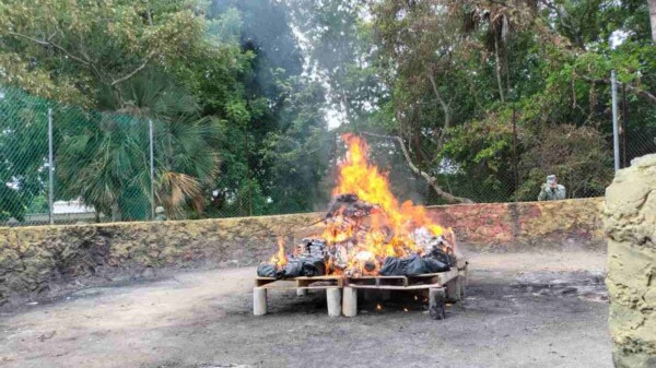 Incineran más de 228 kilos de drogas decomisadas en Quintana Roo