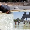 Altas temperaturas ahora "sancochan" a Francia