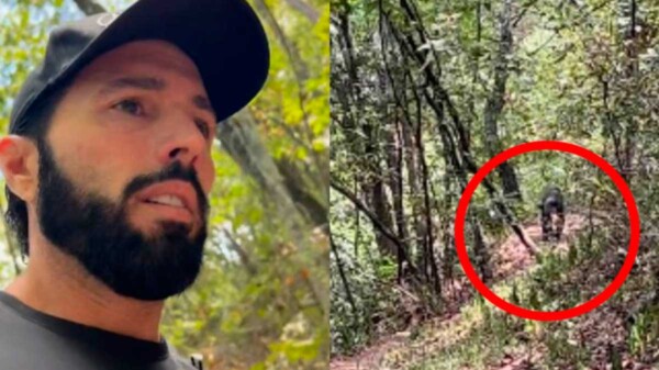 Oso persigue a Poncho de Nigris junto a su hijo 'Ponchito'