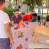 Anuncian programa de esterilización canina y felina en Tulum