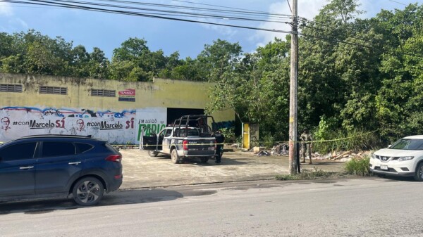 Hallan un cuerpo putrefacto en la zona de Tierra Maya en Cancún