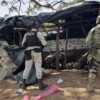 Sedena y GN desmantelan campamento narco con droga en Michoacán