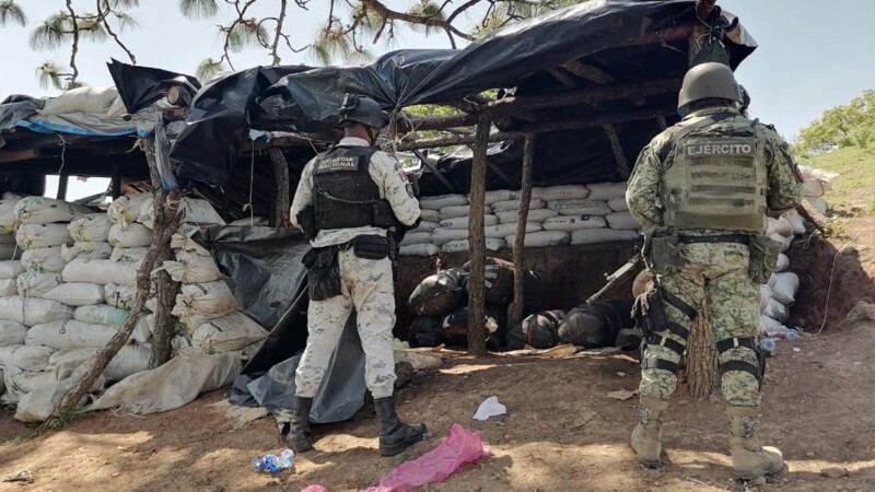 Sedena y GN desmantelan campamento narco con droga en Michoacán