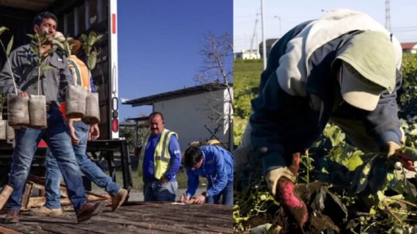 Ley antiinmigrante en Florida los obliga a cambiar sus rutinas