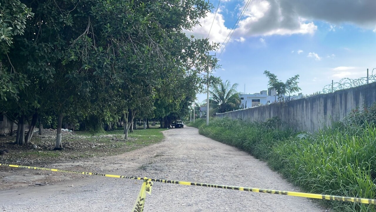 Hallan un cuerpo descuartizado en la colonia Maracuyá de Cancún; los restos humanos fueron depositados en bolsas negras a un lado del camino.