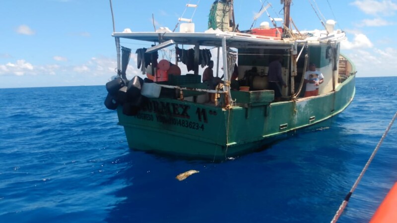 Interceptan embarcación con tres toneladas de tiburón tintorera en Cozumel