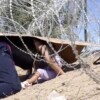 Cruzan migrantes a Texas entre vallas de púas