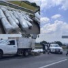 Cachan a conductor en Jalisco con 400 kilos de "mota"