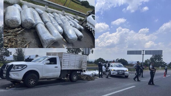 Cachan a conductor en Jalisco con 400 kilos de "mota"