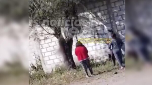 Familia cuelga y mata a un perrito en Puebla