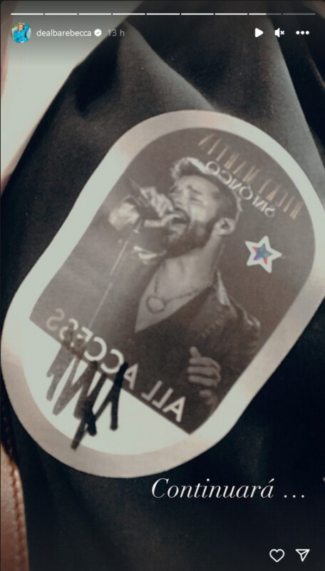 Rebecca de Alba presume su asistencia al concierto de su ex Ricky Martin