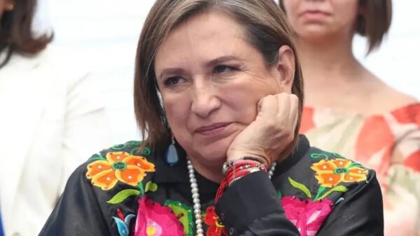 Plagió Xóchitl 22% de informe de titulación