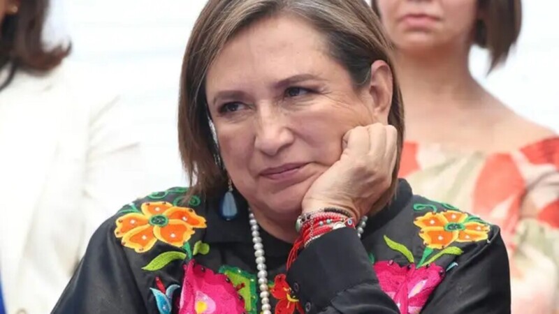 Plagió Xóchitl 22% de informe de titulación