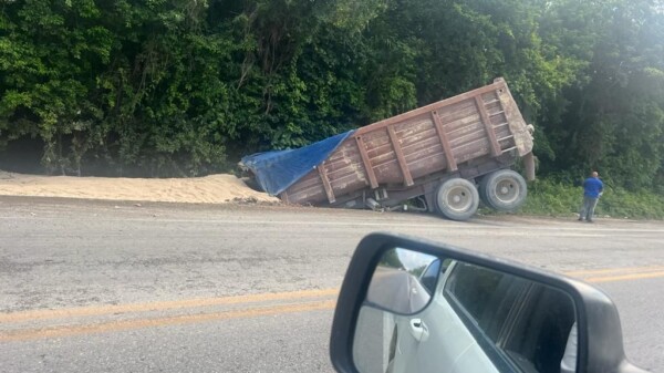 Pierde el control y camión se estrella en la maleza