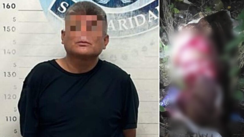Detenido tras machetear a un perro en Playa del Carmen