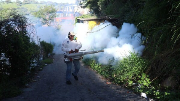 Alerta sanitaria en México por el aumento de casos de dengue