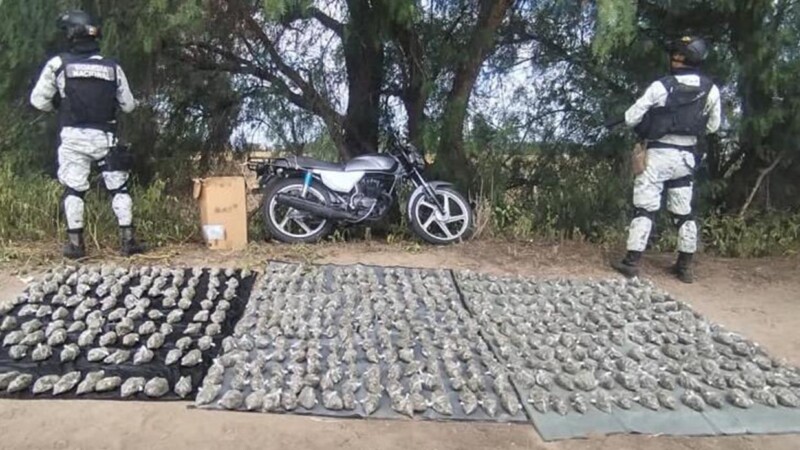 Decomisa Guardia Nacional cargamento de droga en Jalisco