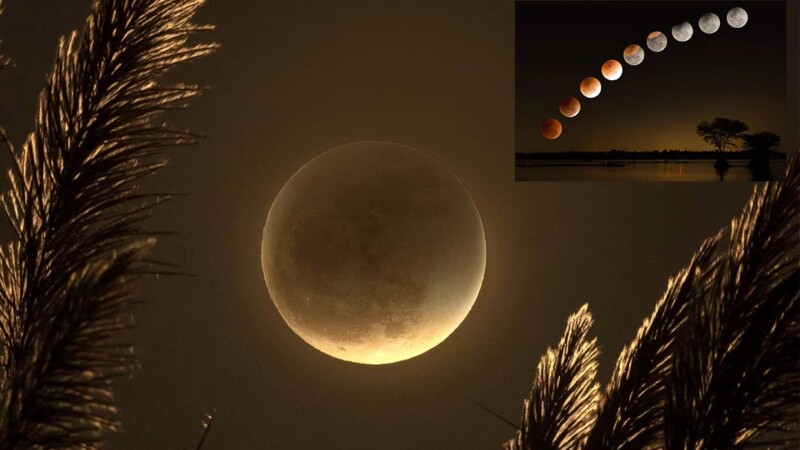 Este sábado tendrá lugar el último eclipse de Luna de 2023