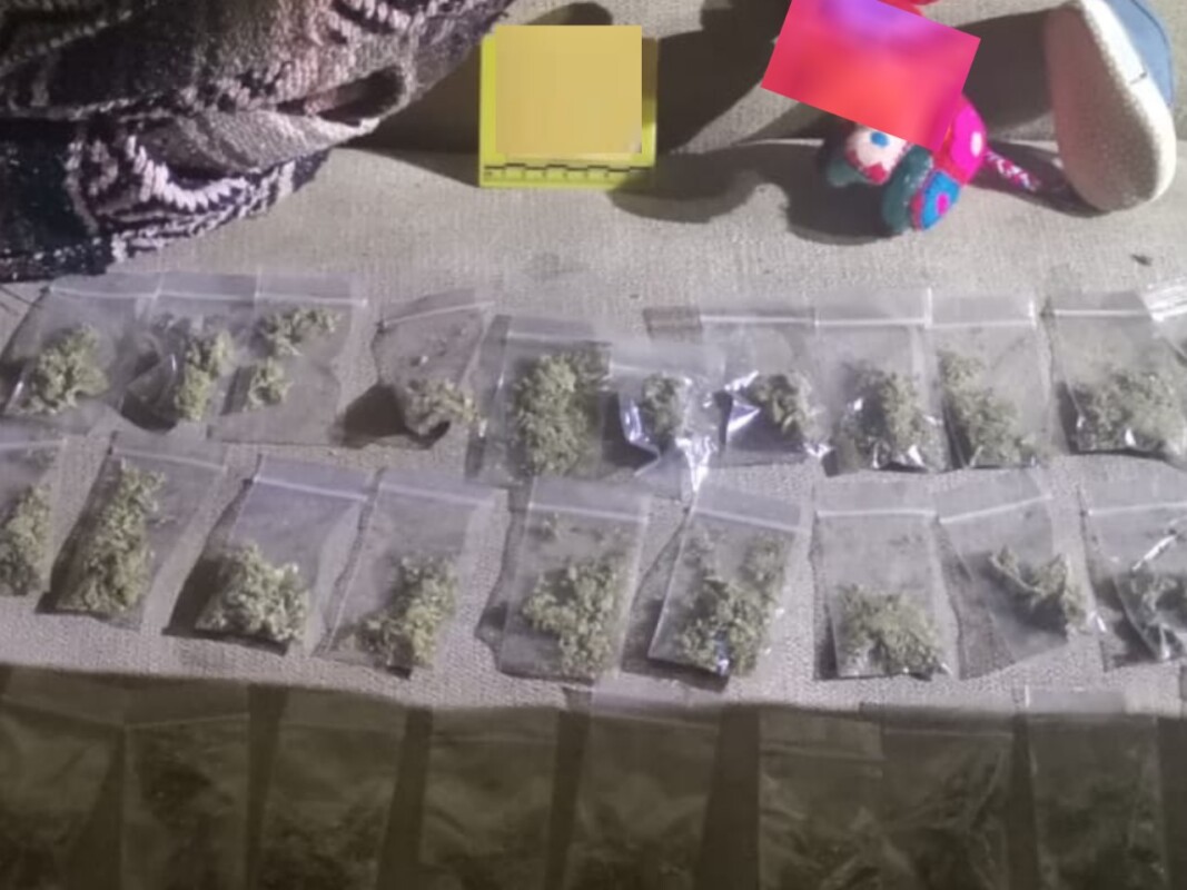 Detienen a dos por delitos contra la salud en un cateo en Playa del Carmen; se decomisaron diversas enervantes en un domicilio de Villas del Sol.