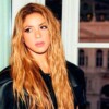 Fan de Shakira es agredido por un guardia en presencia de la cantante