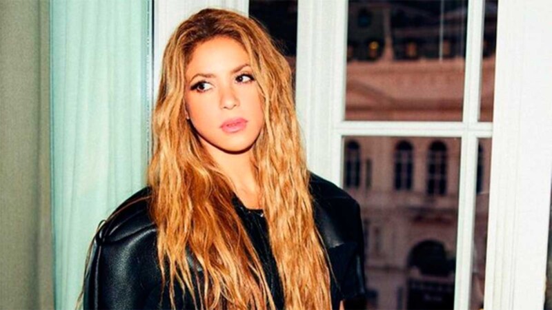 Fan de Shakira es agredido por un guardia en presencia de la cantante