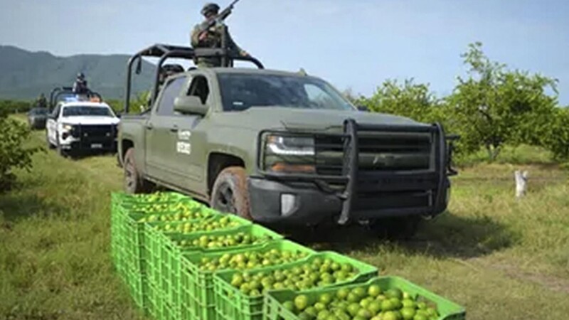 Vigilará Sedena rutas de transporte de limón en Michoacán