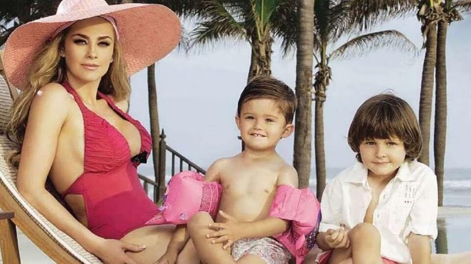 Luis Miguel paga deuda por pensión a Aracely Arámbula