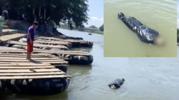 De terror, graban a embolsado flotando en el rio Suchiate