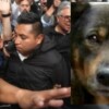 Indigna acceso a libertad del expolicía asesino del perrito Benito
