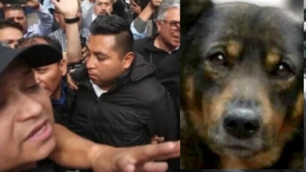 Indigna acceso a libertad del expolicía asesino del perrito Benito