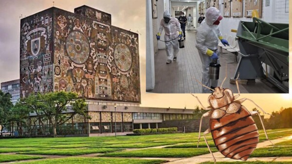 Por "enchinchamiento", la UNAM suspende clases en varias facultades