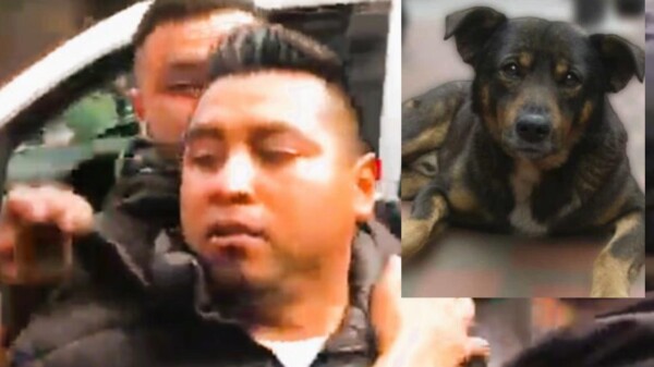 Dictan sentencia a expolicía asesino de perrito en Edomex