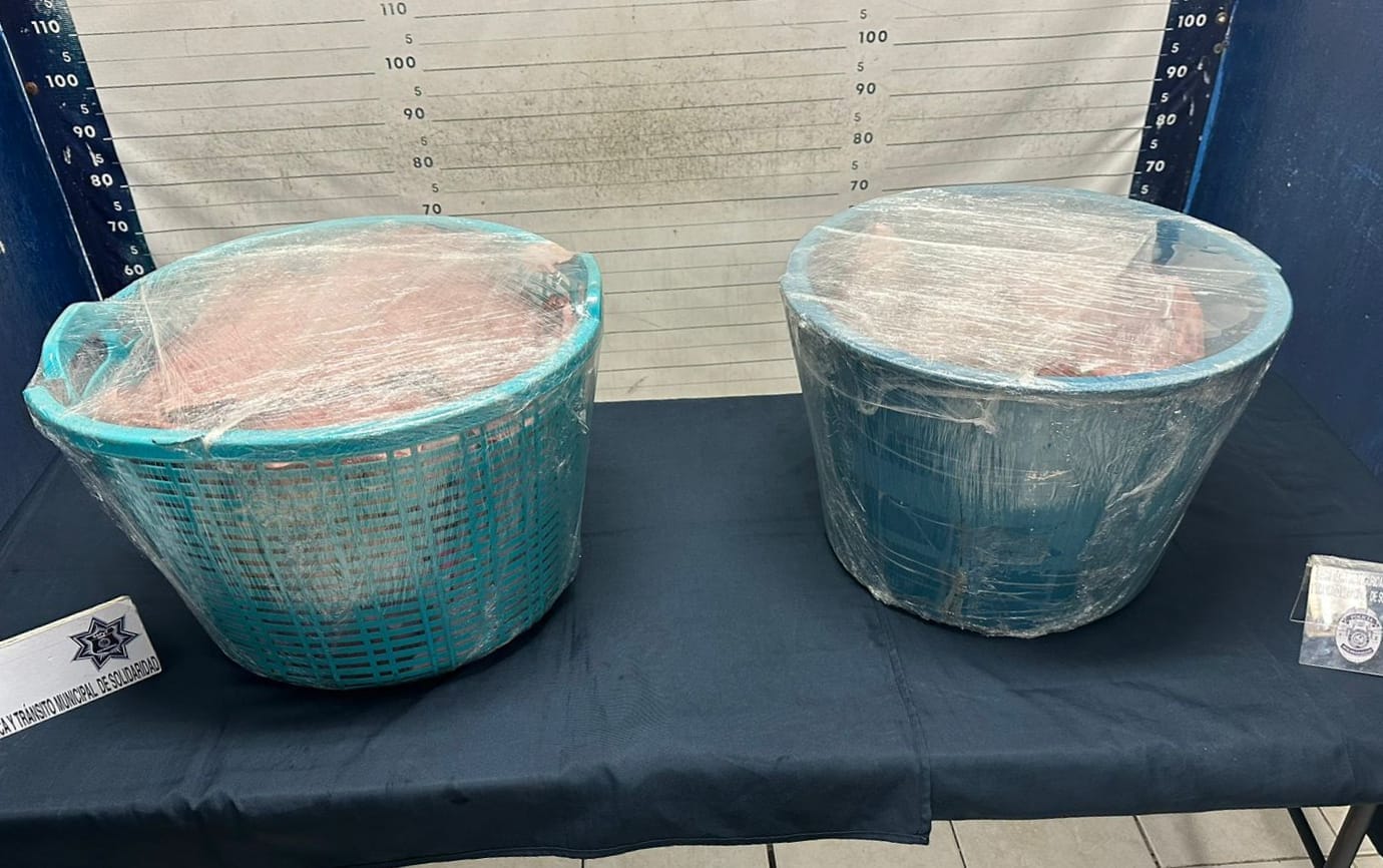 Detienen a dos sujetos con 36 paquetes de droga en Playa del Carmen; en otro hecho, policías hallaron mariguana en dos canastas abandonas en la terminal.