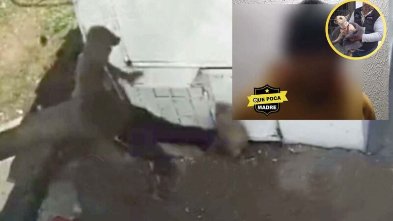 Agresor de perrito en Edomex asegura estar arrepentido