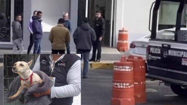 Empleado agresor de perrito en Edomex, finalmente se entrega a la FGE